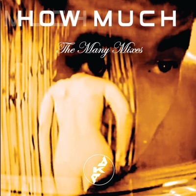 How Much (The Many Mixes) - EP