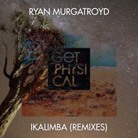 iKalimba (Remixes) - Single - Ryan Murgatroyd