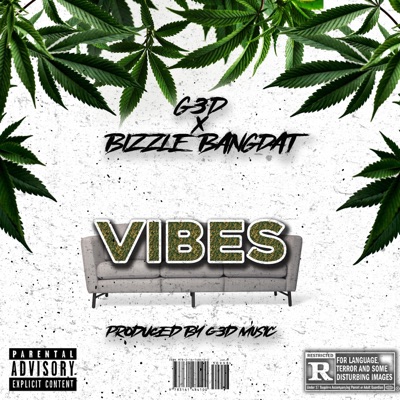 Vibes (feat. Bizzle Bangdat) - Single