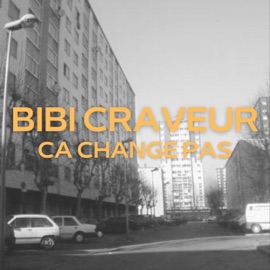 Ça change pas Bibi Craveur