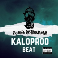 Insomniaque instrumental - Single - kaloprod