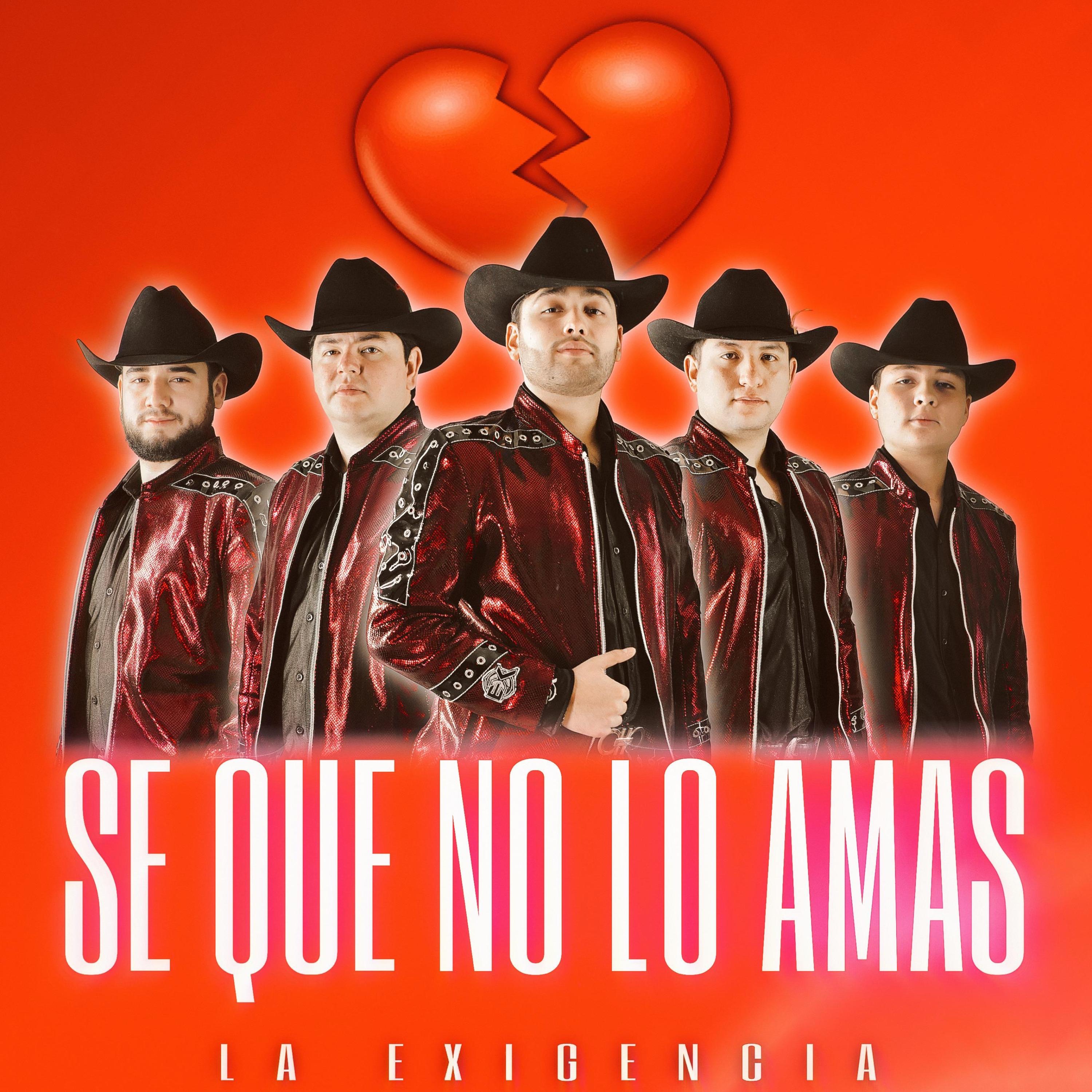 Se Que No Lo Amas - Single