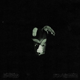 Nightowl Konteks & Mr. Ginseng