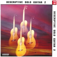 Descriptive Solo Guitar, Vol. 2 - Charles Michael Brotman, Kapono Beamer & Charles Hörnemann