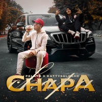 CHAPA Pelayo,kattySalgado (feat. KattySalgado) - Single - Pelayo
