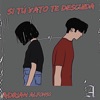 Si Tú Vato Te Descuida - Single