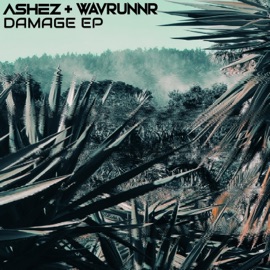 Bassline Freaks Ashez & WAVRUNNR