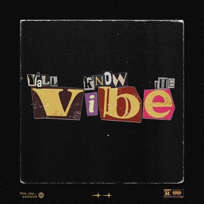 Y'all Know The Vibe (feat. SoulSickIronik) - Single