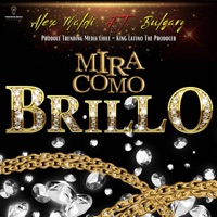 MIRA COMO BRILLO (feat. Bulgary) - Single - Alex Maldi