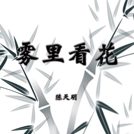 雾里看花 (Live) 陈天明