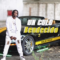 Un Culo Bendecido - Single - J Flow El Favorito