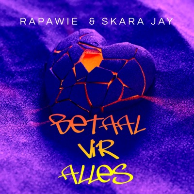 Betaal vir Alles (feat. Skara Jay DieBomBru) - Single