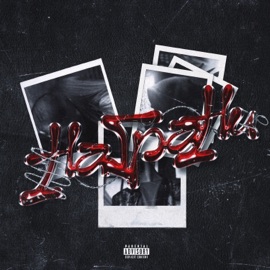 на грани кипиш squad