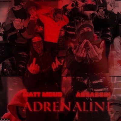 Adrenaline (feat. Matt Mdub) - Single