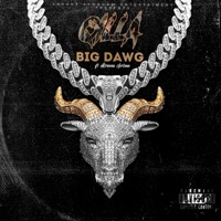 Big Dawg (feat. Roman Sotam) - Single - Qilla