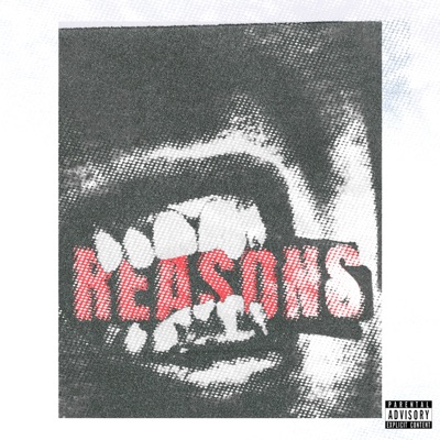 Reasons - Single
