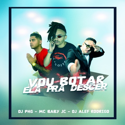 Vou Botar Ela pra Descer (feat. DJ PHG & DJ ALEF RODRIGO) - Single