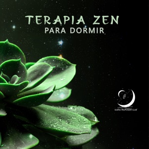 Terapia Zen para Dormir: Música Relajante, Música para Meditar los Chakras, Reiki, Sonidos de la Naturaleza, Yoga Nidra, Yoga Padhi