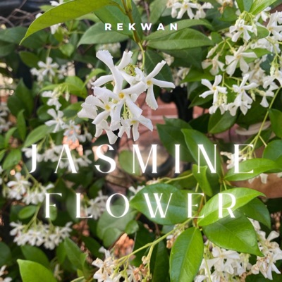 Jasmine Flower - EP