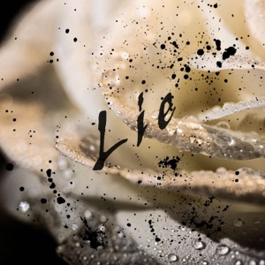 Lie (feat. kim yong)