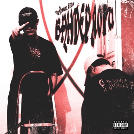 Picture.png Трувонт & STNX