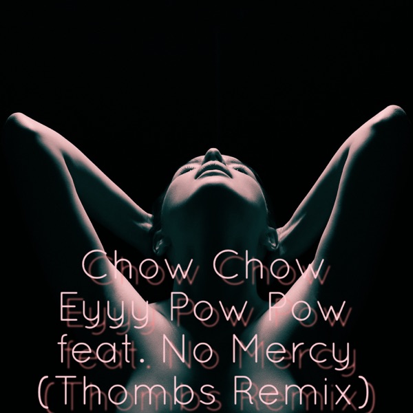 Chow Chow Eyyy Pow Pow (Thombs EDM Extended Remix) [feat. No Mercy] - Single - Monsieur Job