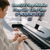 Beautiful Piano Melodies (Piano Solo Calm Piano 55) artwork
