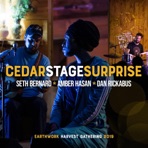 Cedar Stage Surprise (feat. Amber Hasan)