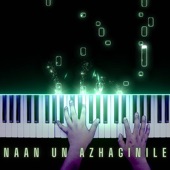 Naan Un Azhaginile (Piano Version) artwork