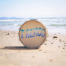 T. Rexico - Catch the Waves