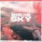 Birds In The Sky (Acoustic) artwork