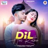 Dil Hai Rutha - Single