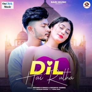 Dil Hai Rutha