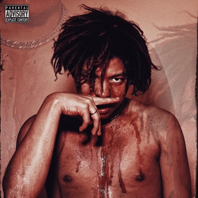 LAPTOP DEL GOBIERNO - Single