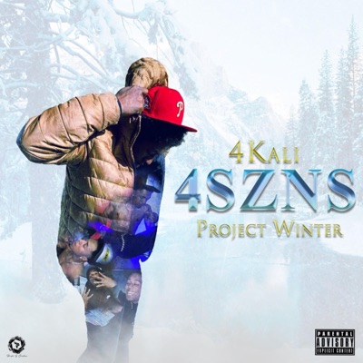 4SZNS: Project Winter
