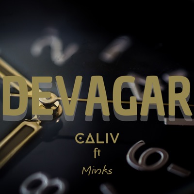 Devagar (feat. Minks) - Single