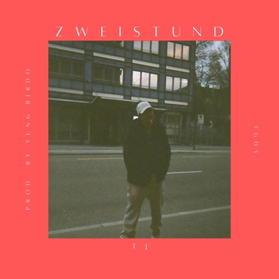 ZWEI STUND (feat. Yung Birdo) - Single