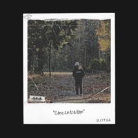 Concentration - Single - Ro$e$