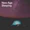 Plant Food - New Age Instrumental Music lyrics