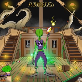 Submerged Syndicate Bass Records & Mayple