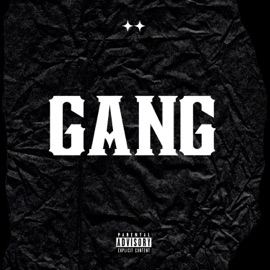 Gang SwizzyGee