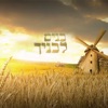 בנים לבניך (feat. Shmuel Shapiro) - Single