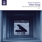 Bellini: Vaga luna, che inargenti (Instrumental) artwork