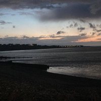 N. - Single - Bobby Steadman