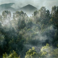 From the Mountain (Live) - Long Hollow Worship