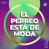 Guaynaa - Chica Ideal