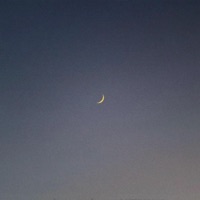 Vibrantly - EP - Mobee