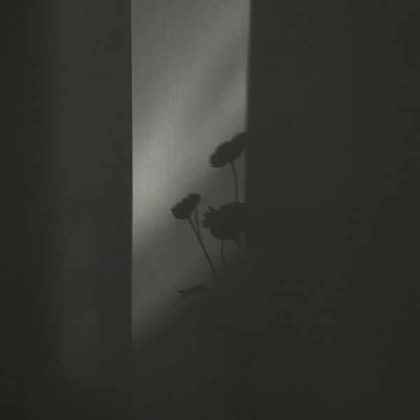 How are you, my dear - EP