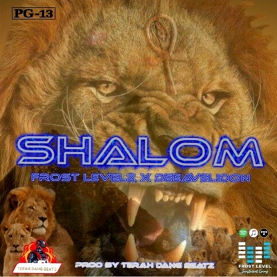 SHALOM (feat. DEEAVELIDON) - Single