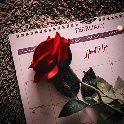 Hard to Love - Single